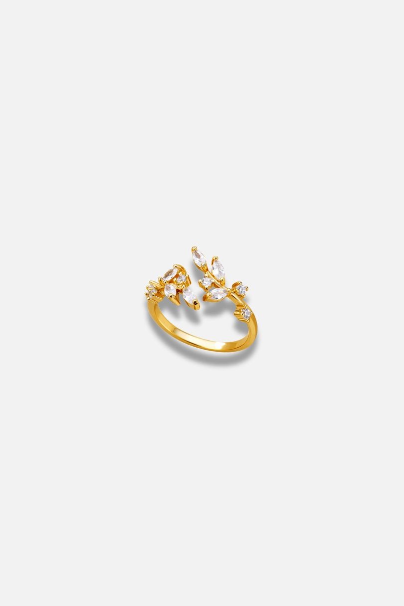 RINGEN